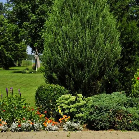 Holiday home Dom Wakacyjny Szydlowka - Mazury *